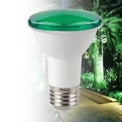 LÂMPADA LED PAR20 LUZ VERDE 4,8W  SE-110.2014